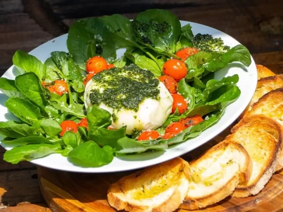 restobar – combinação perfeita de culinária restobar - combinação perfeita de culinária